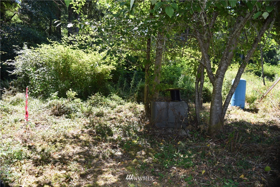 2798 Strawberry Point Road Oak Harbor, WA 98277 - Photo 22 of 22 Gallery Image 22