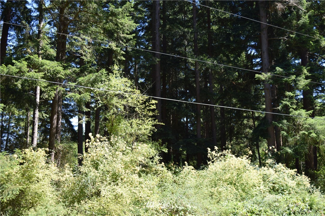 2798 Strawberry Point Road Oak Harbor, WA 98277 - Photo 7 of 22 Gallery Image 7