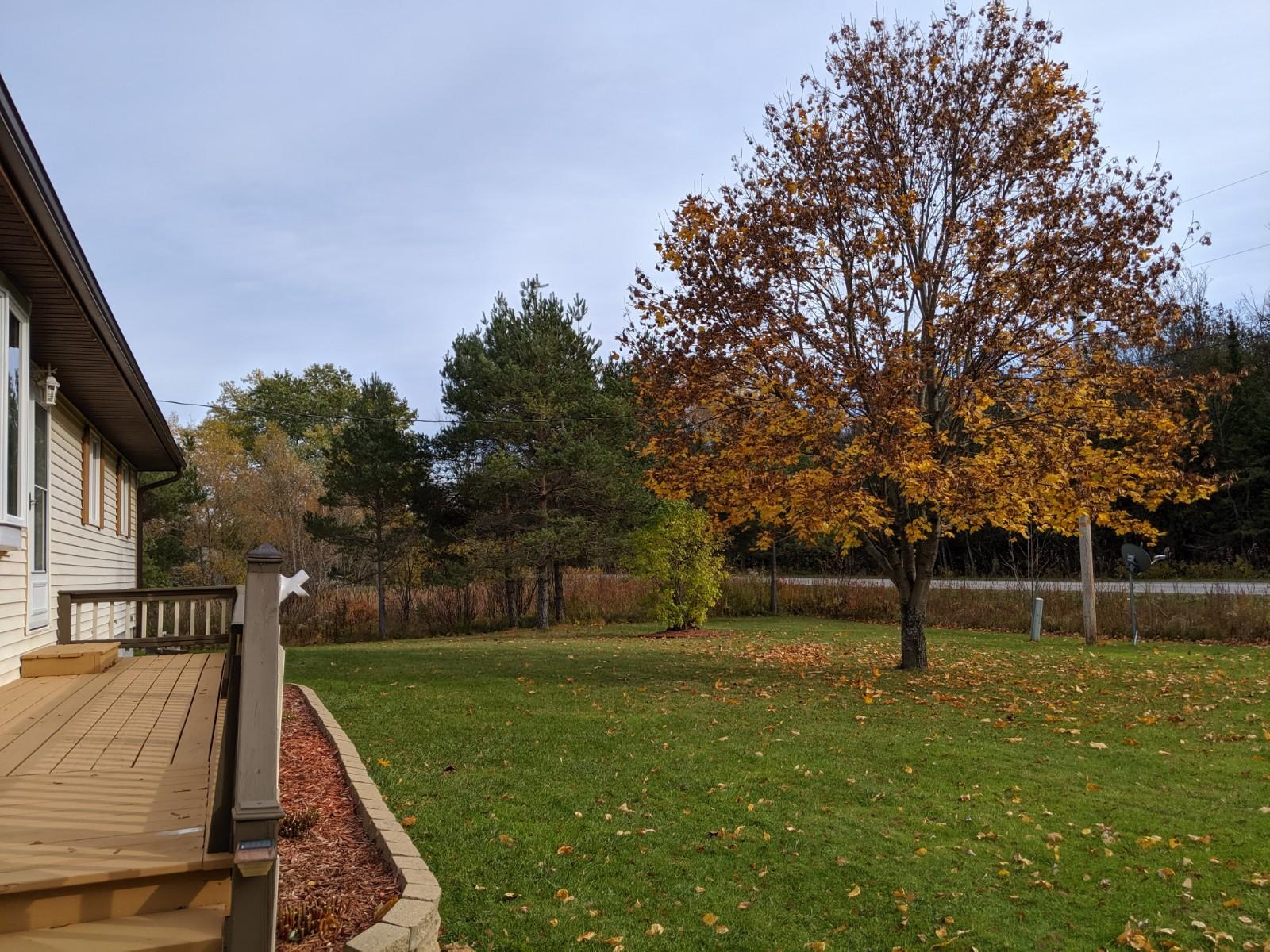 272 Gorman Road St. Ignace, MI 49781 - Photo 6 of 34 Gallery Image 6