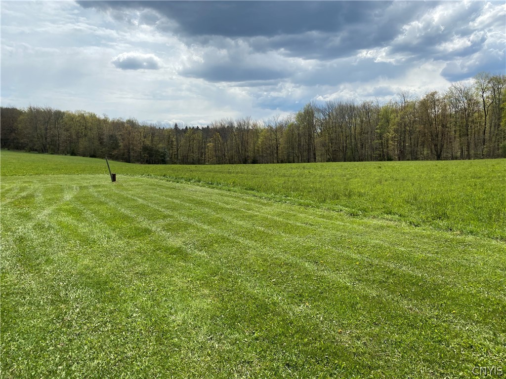 - Murray Road North Pitcher, NY 13124 - Photo 10 of 23 Gallery Image 10