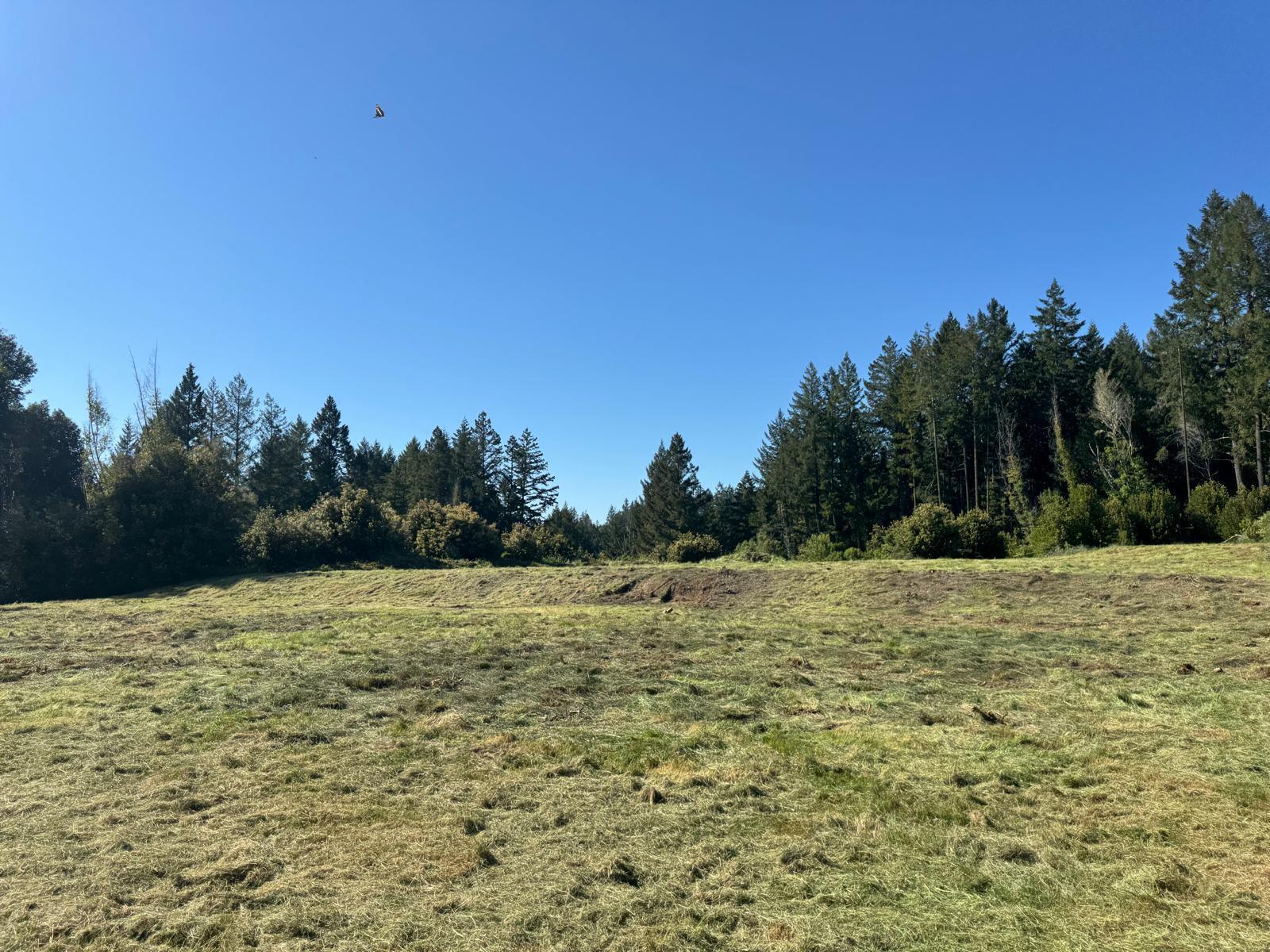 37430 Alderpoint Road Blocksburg, CA 95514 - Photo 1 of 18