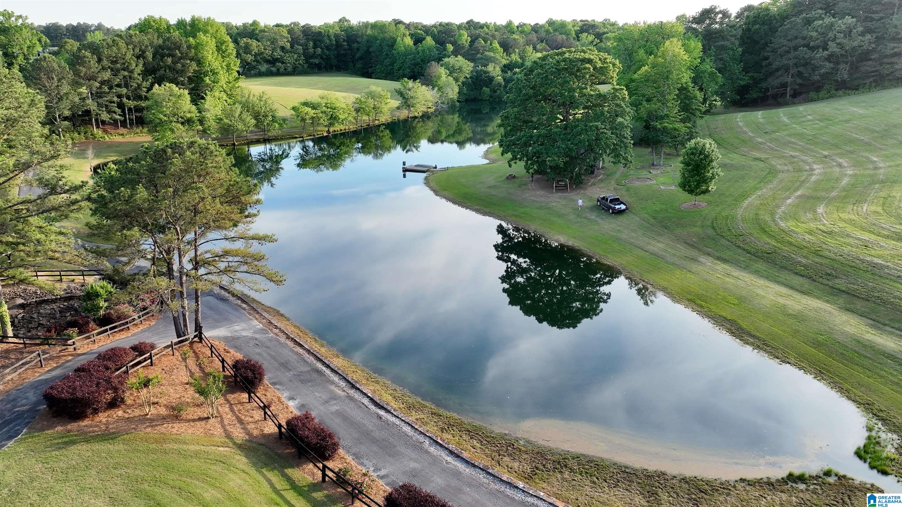 5145 Pine Mountain Road Remlap, AL 35133 - Photo 100 of 100