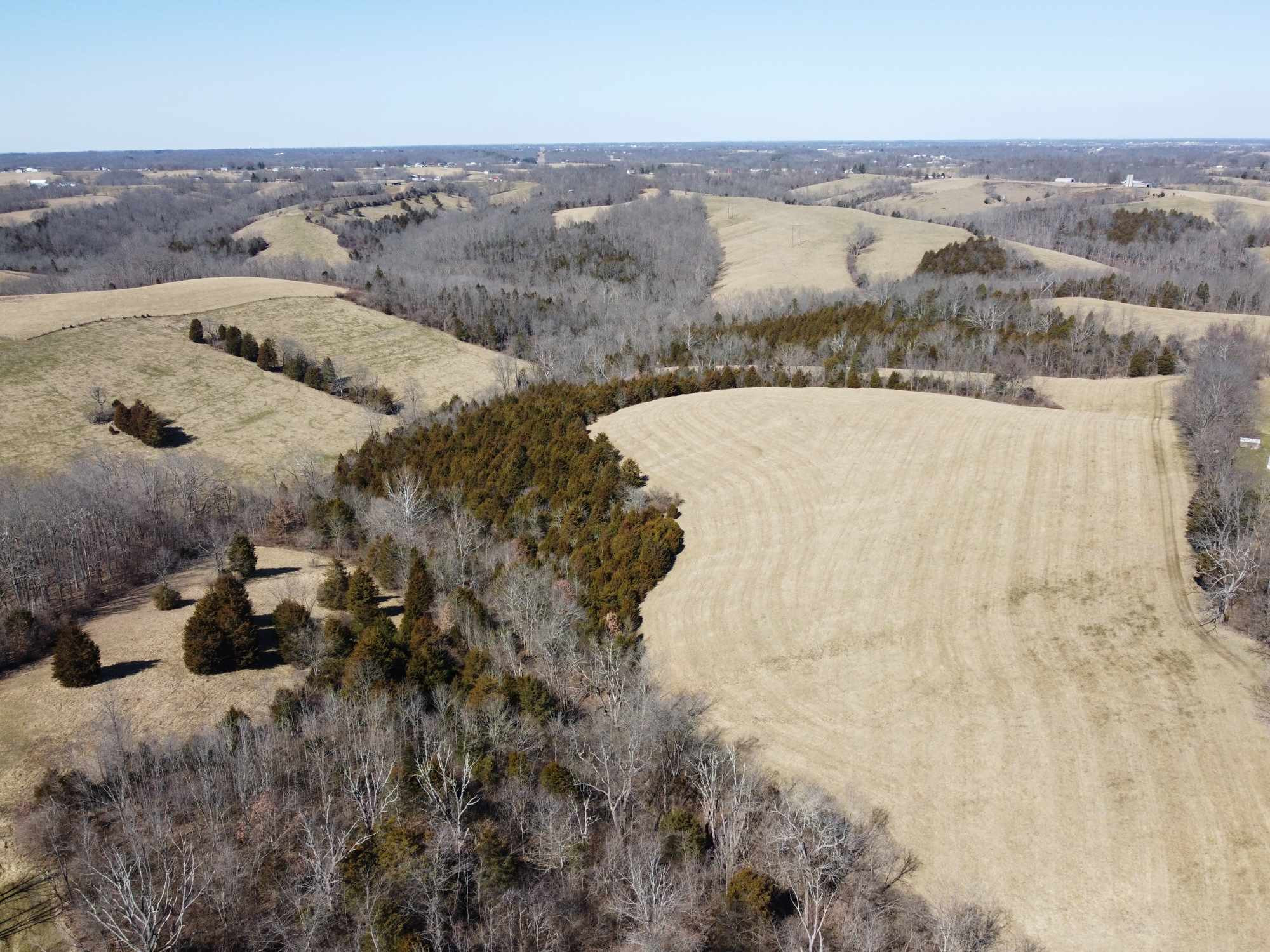 2740 Lemon Northcutt Road Dry Ridge, KY 41035 - Photo 6 of 37