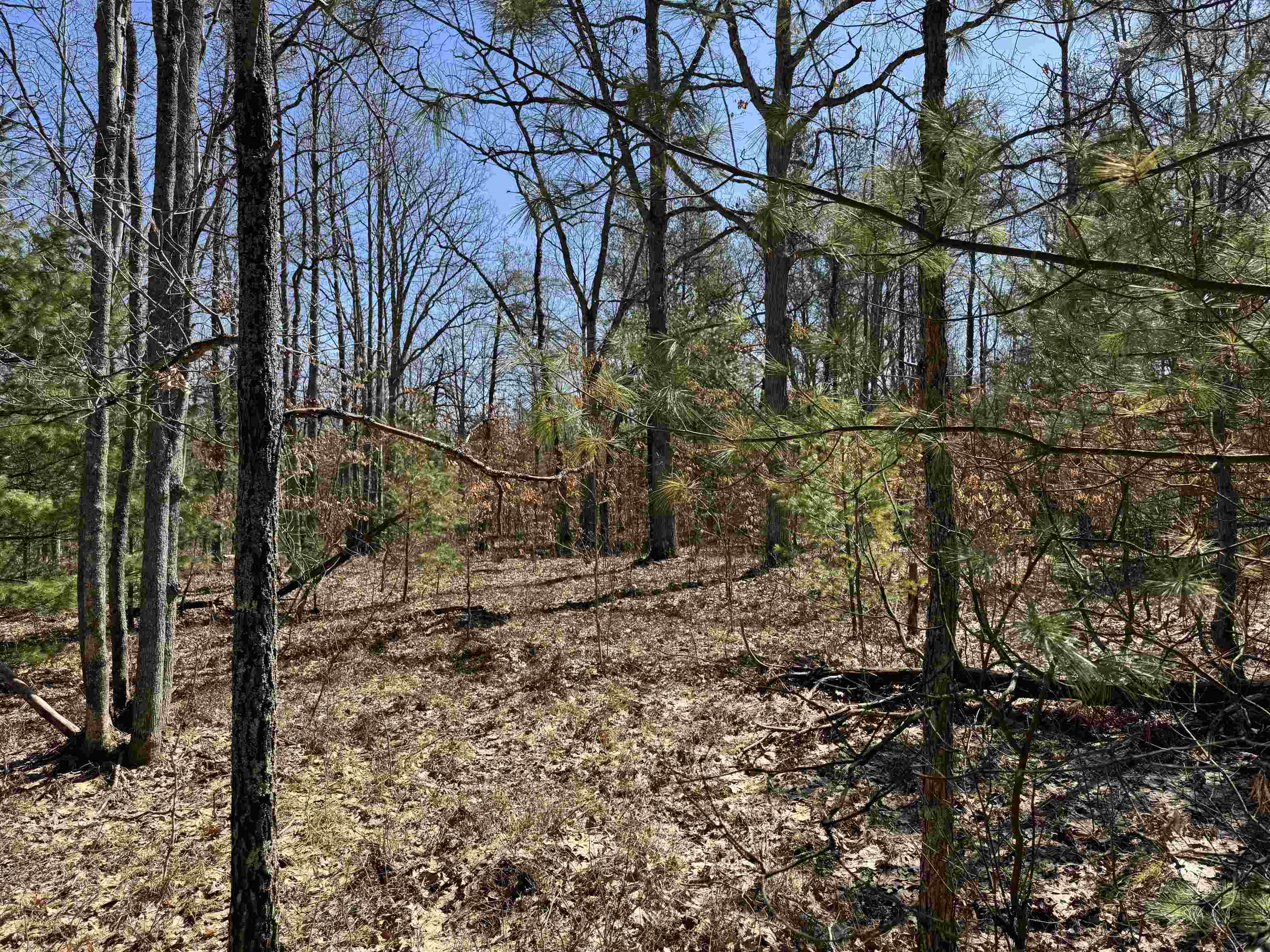 5265 Scharmen Road Traverse City, MI 49696 - Photo 6 of 11 Gallery Image 6
