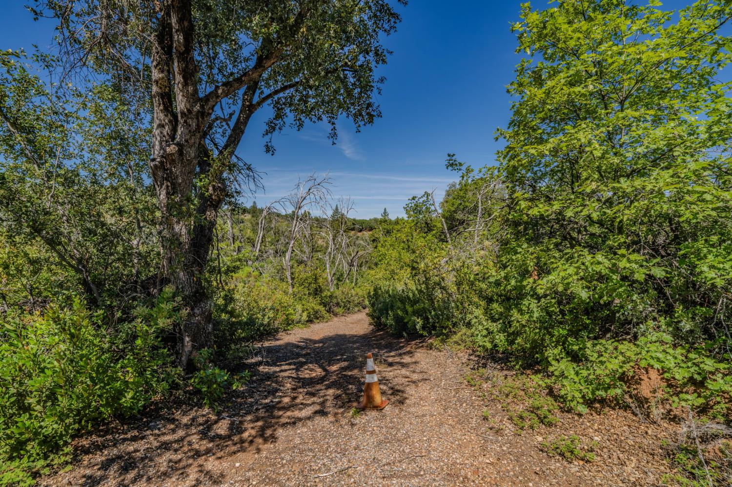7256 Nikki Mountain Ranch Mountain Ranch, CA 95246 - Photo 15 of 27