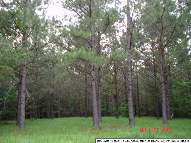 3893 Union Church Road Meadville, MS 39653 - Photo 2 of 7 Gallery Image 2