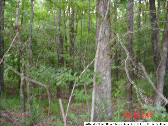 3893 Union Church Road Meadville, MS 39653 - Photo 3 of 7 Gallery Image 3