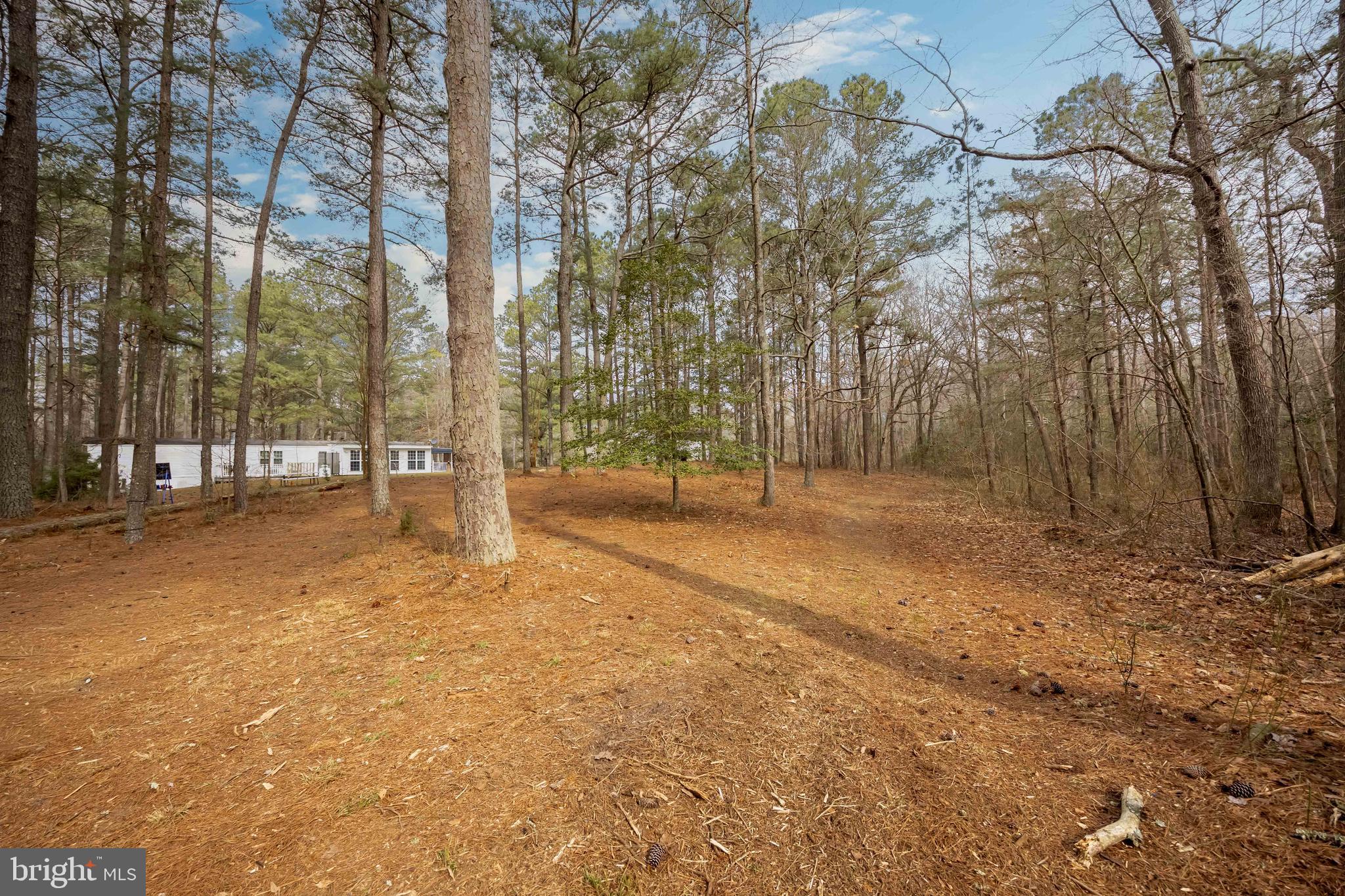 22139 Royal Oak Road Quantico, MD 21856 - Photo 52 of 60