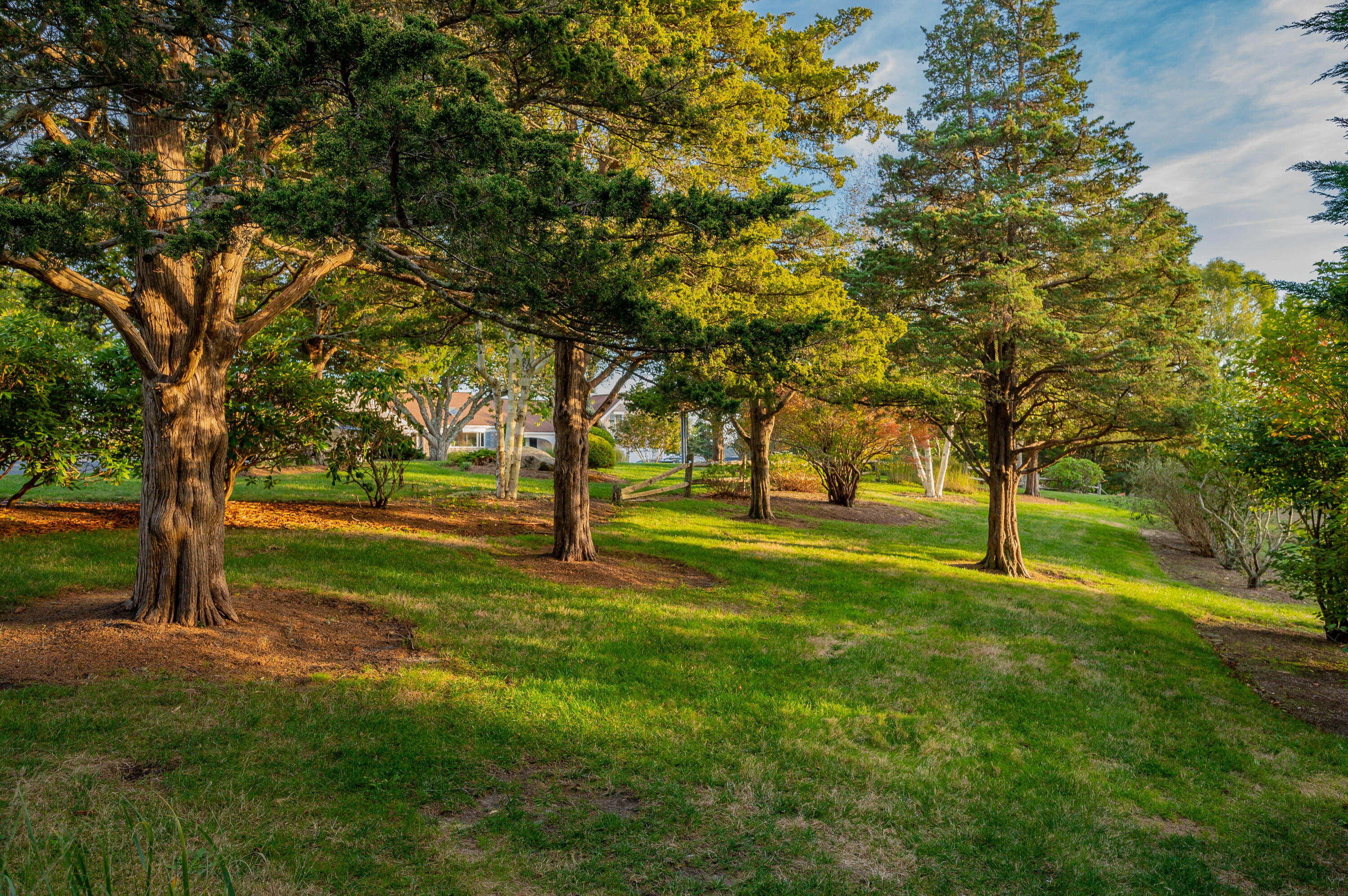 70 Briar Spring Road Orleans, MA 02653 - Photo 13 of 33 IMG_2016