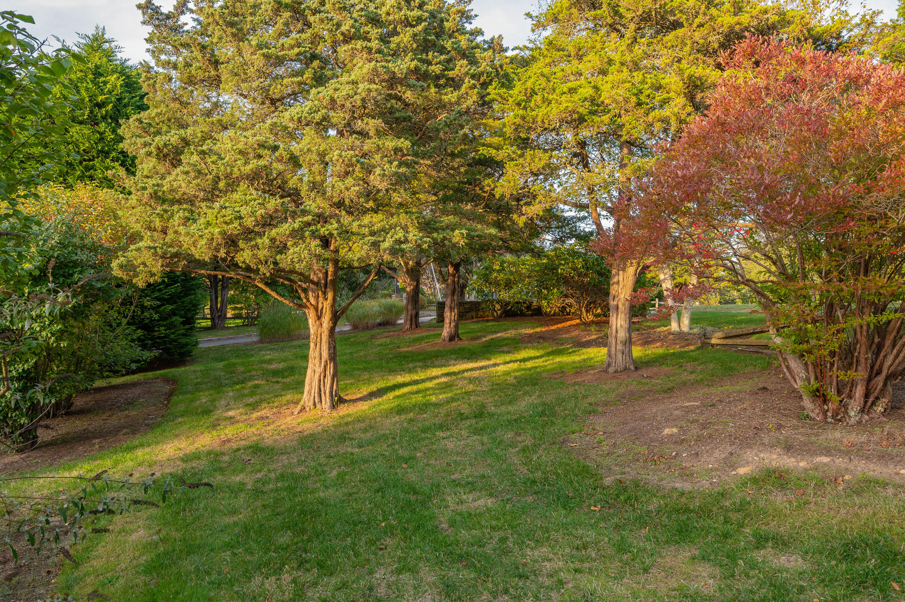 70 Briar Spring Road Orleans, MA 02653 - Photo 23 of 33 IMG_2091