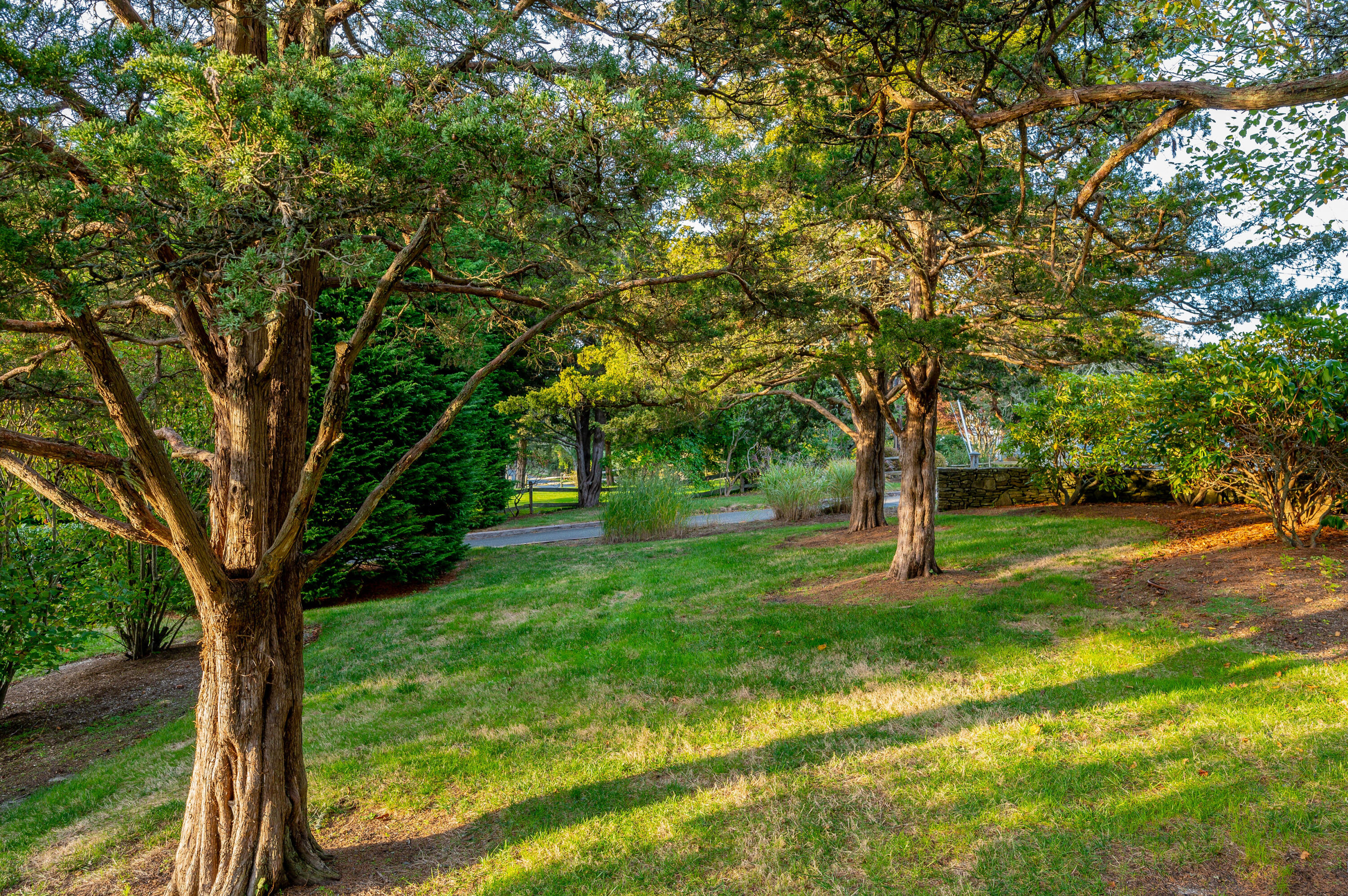 70 Briar Spring Road Orleans, MA 02653 - Photo 24 of 33 IMG_2094