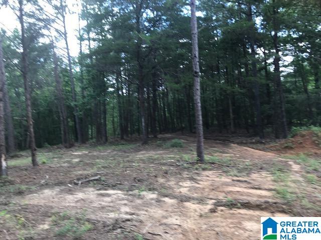 Mountain View Vance, AL 35490 - Photo 26 of 28