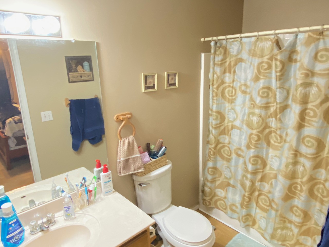 2102 Bennett Court Columbia, TN 38401 - Photo 16 of 19 a bathroom with a sink toilet and a mirror