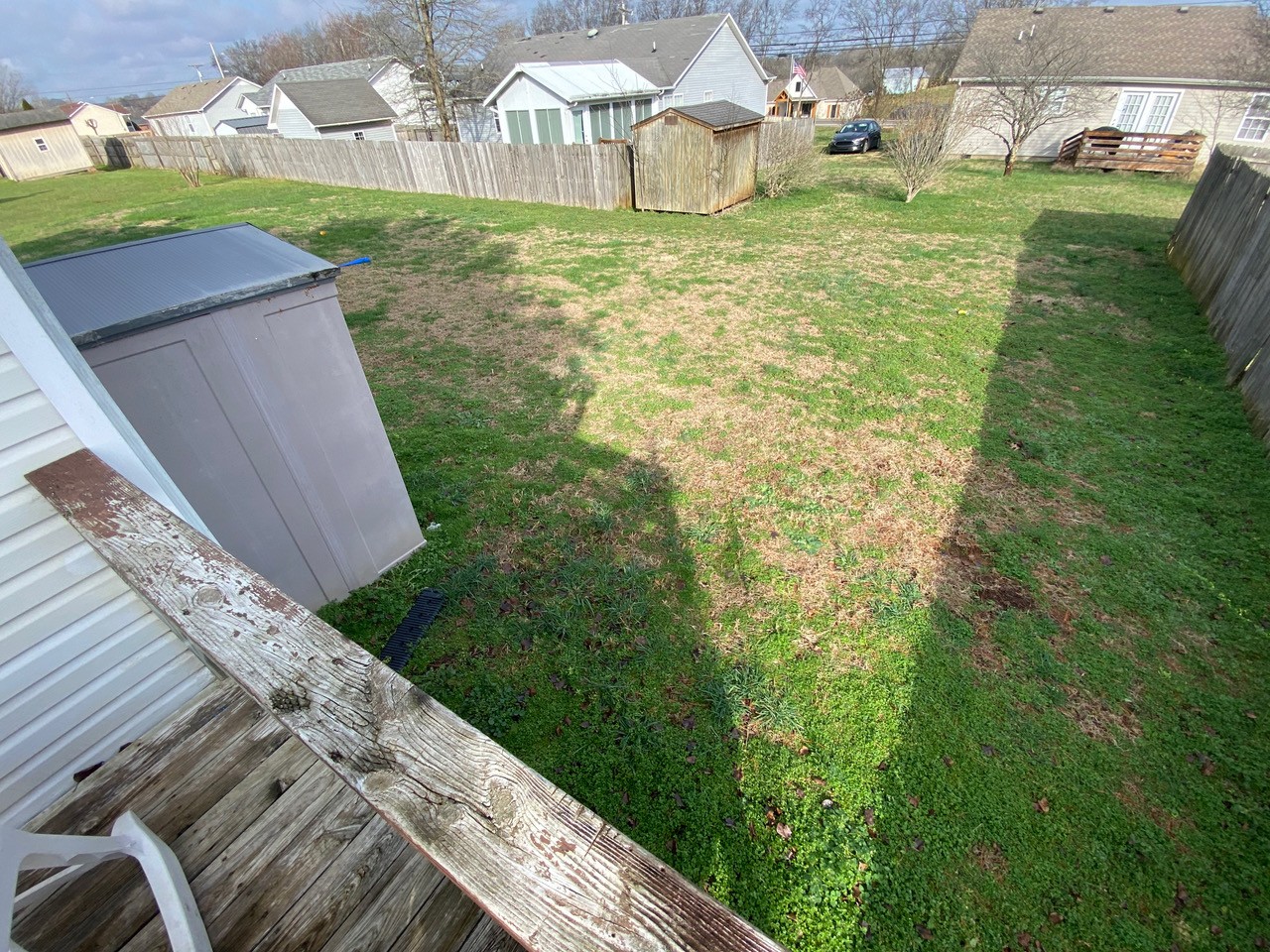 2102 Bennett Court Columbia, TN 38401 - Photo 8 of 19 a backyard of a house with lots of green space