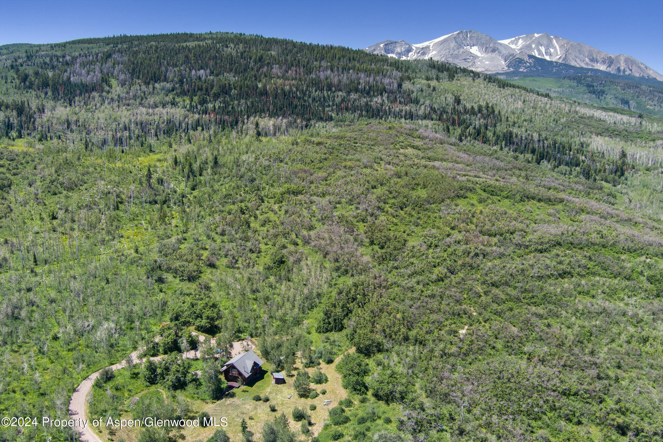 4275 Sopris Mountain Ranch Road Basalt, CO 81621 - Photo 26 of 36 a view of a lush green forest with a mountain