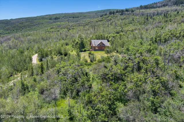 a view of a lush green forest with trees and some houses