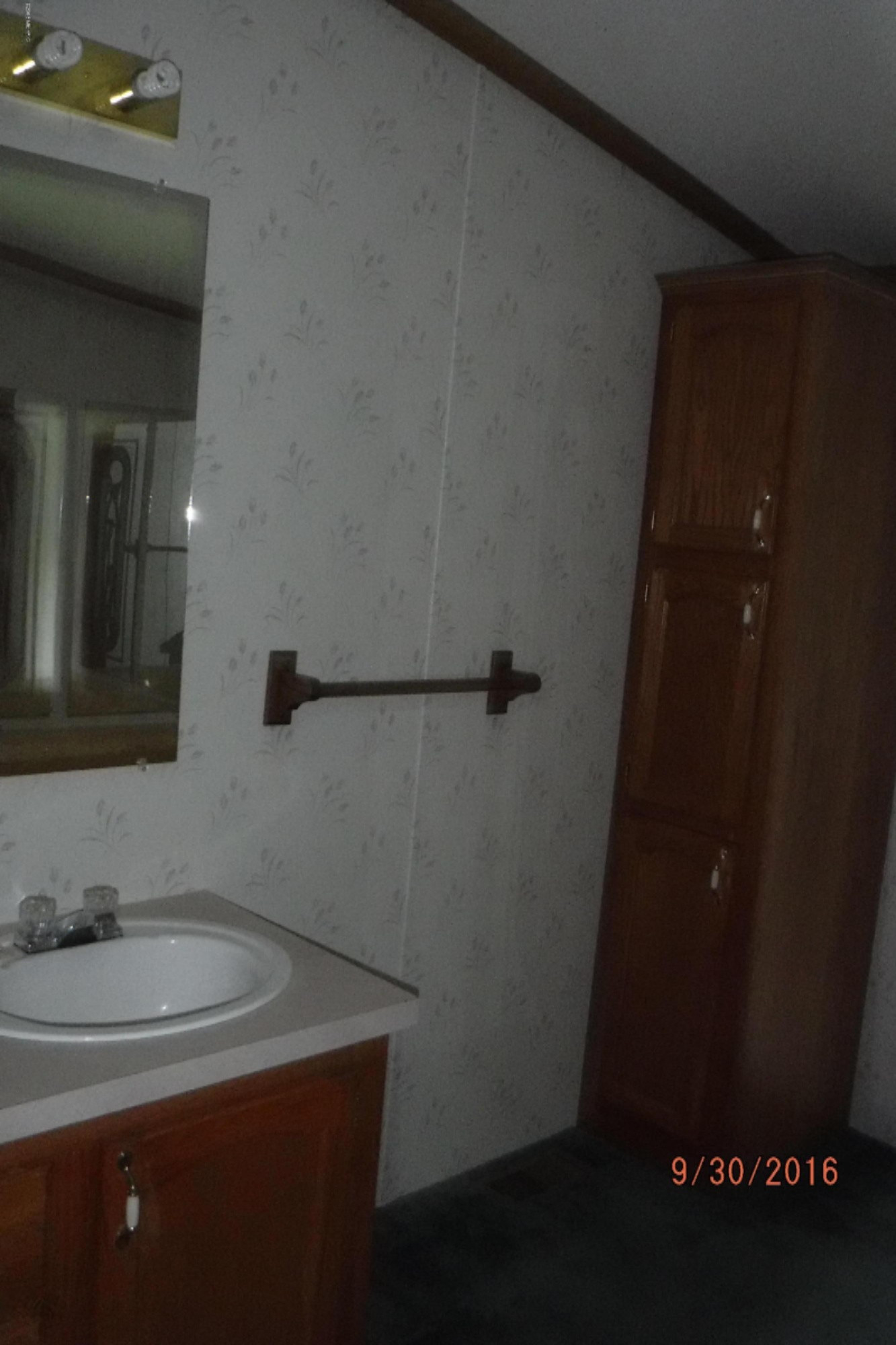 17633 Bailey Road Bailey, MI 49303 - Photo 11 of 18 DSCF0148