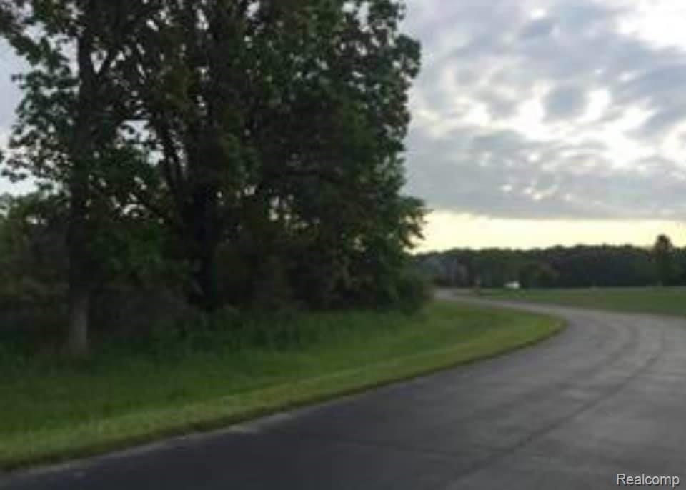 0 Kensington Road Pleasant Ridge, MI 48069 - Photo 2 of 6