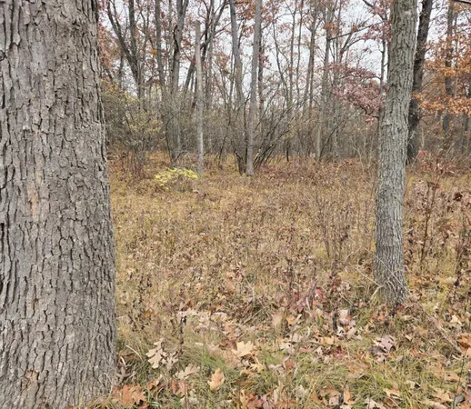 $17,000 | V/l North Woodbridge Road, Bitely, MI 49309