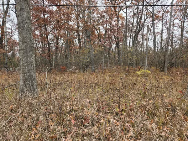 $17,000 | V/l North Woodbridge Road, Bitely, MI 49309