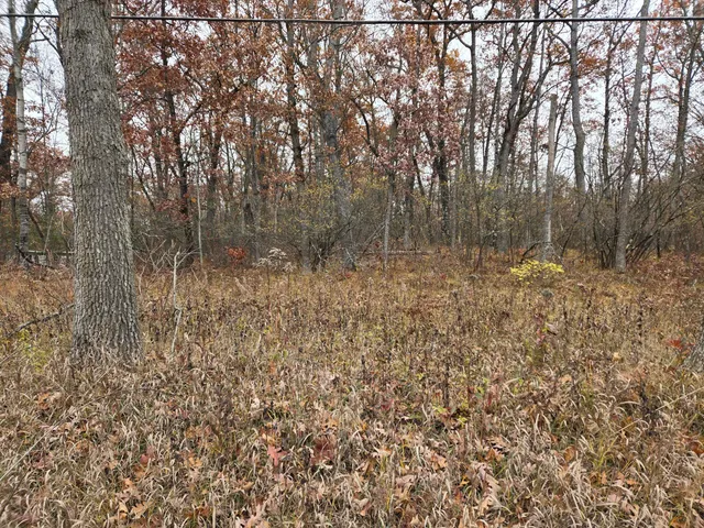 $17,000 | V/l North Woodbridge Road, Bitely, MI 49309