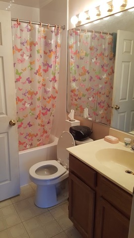 792 Trinity Court Carol Stream, IL 60188 - Photo 11 of 12