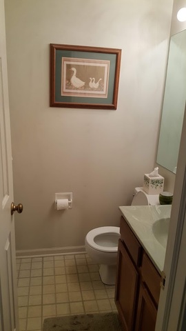 792 Trinity Court Carol Stream, IL 60188 - Photo 12 of 12