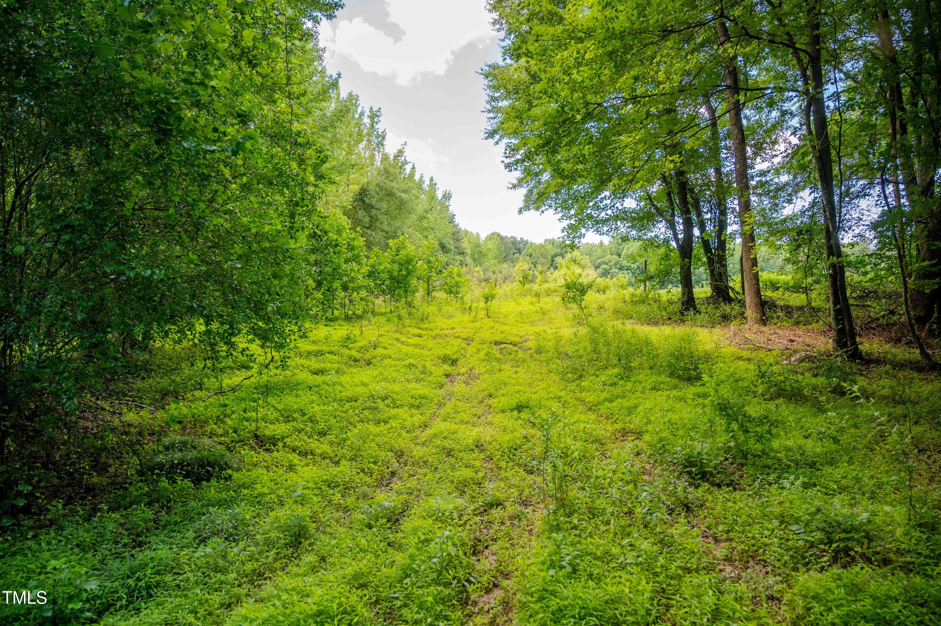 1 Covered Bridge Road Zebulon, NC 27597 - Photo 14 of 53 14