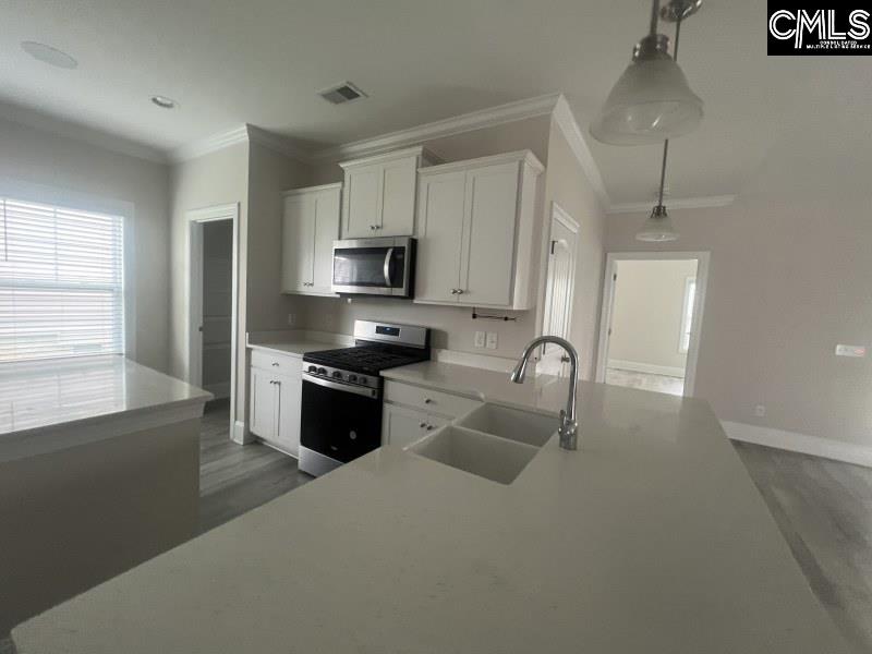 516 Mitscher Way Chapin, SC 29036 - Photo 10 of 18 a kitchen with stainless steel appliances granite countertop a stove a sink and a refrigerator