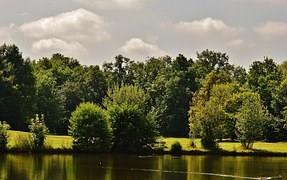 6954 East Sylvania Road Bloomfield, IN 47424 - Photo 5 of 11 Gallery Image 5