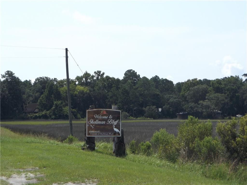 Lot 2 Shellman Bluff Road Northeast Townsend, GA 31331 - Photo 1 of 1 Gallery Image 1