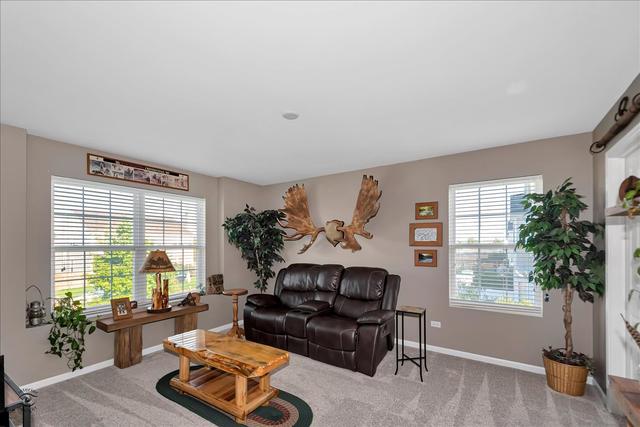 25448 Colligan Street Manhattan, IL 60442 - Photo 18 of 24