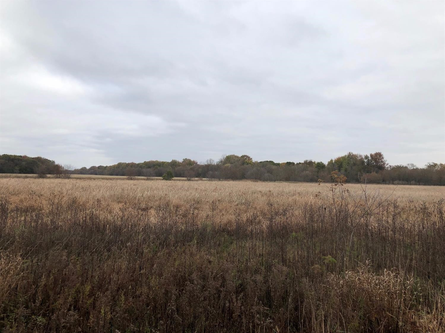 0 Coon Hill Road Munith, MI 49259 - Photo 5 of 9 Photo 5