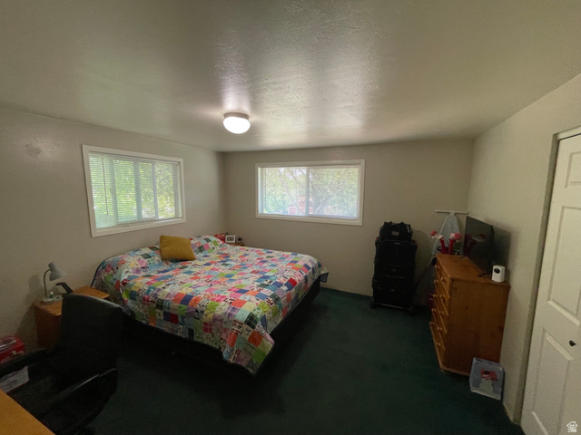 346 North 800 East Springville, UT 84663 - Photo 10 of 22