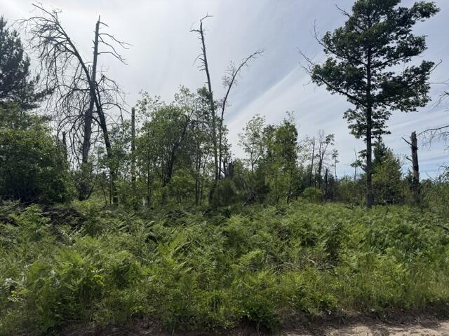 3 South Nelson Road Idlewild, MI 49642 - Photo 3 of 6 IMG_6950