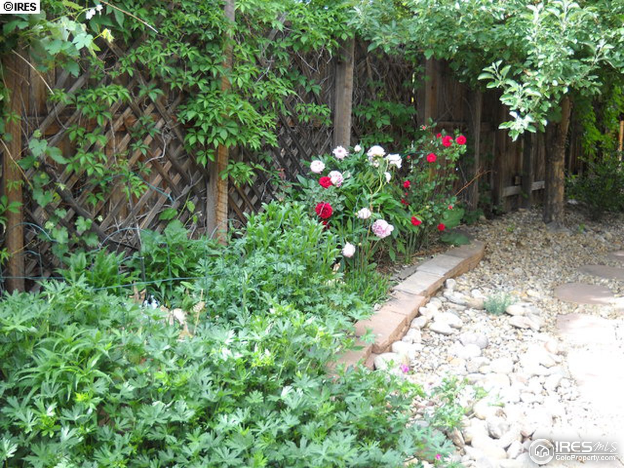 3172 Redstone Road Boulder, CO 80305 - Photo 20 of 24 a backyard of a house with lots of green space