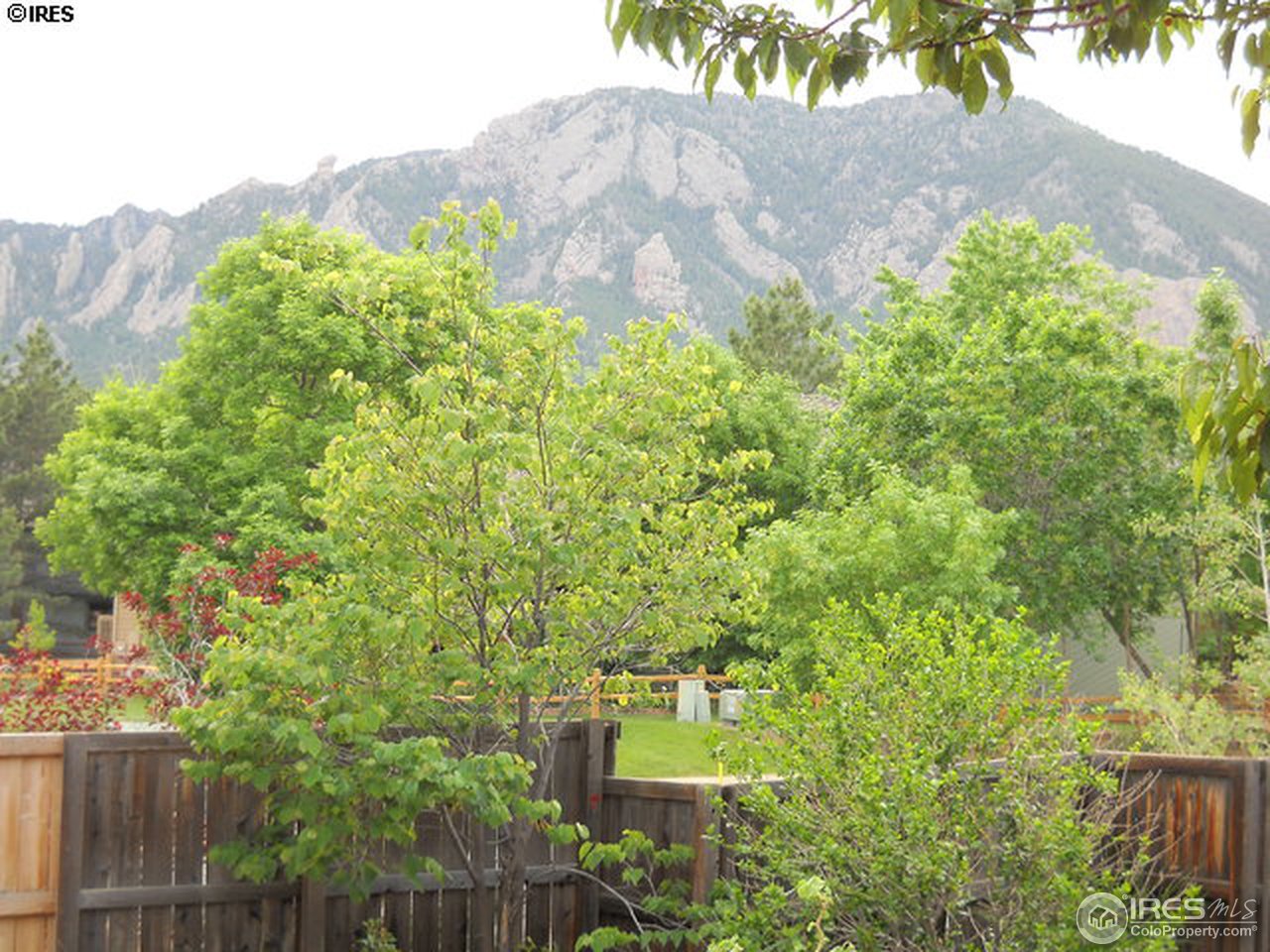 3172 Redstone Road Boulder, CO 80305 - Photo 23 of 24 a view of a yard with plants and large trees