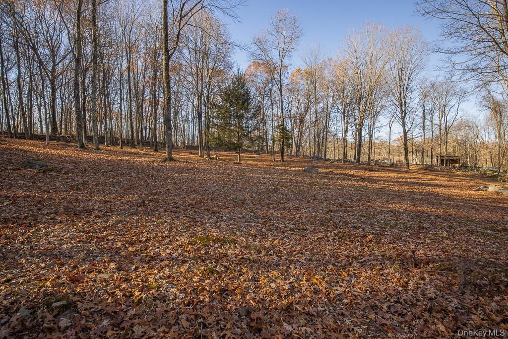 355 Fosler Road Wallkill, NY 12589 - Photo 23 of 33 Plenty of space, trails and endless possibility.