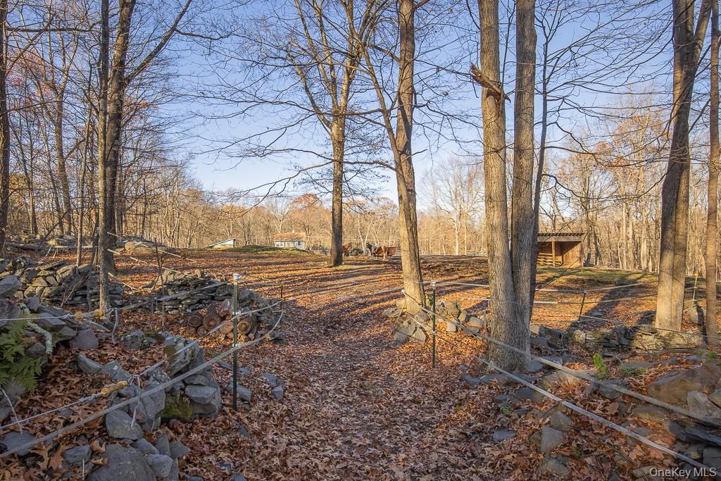355 Fosler Road Wallkill, NY 12589 - Photo 25 of 33 View of yard