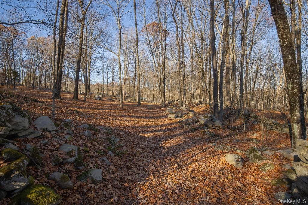 355 Fosler Road Wallkill, NY 12589 - Photo 26 of 33 View of local wilderness