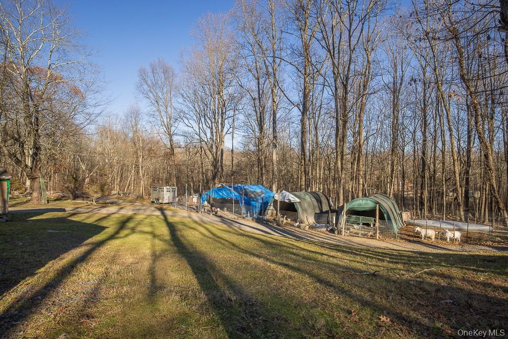 355 Fosler Road Wallkill, NY 12589 - Photo 29 of 33 Livestock area