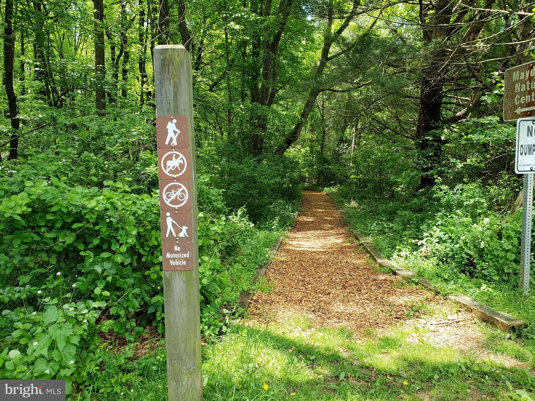 15317 Aylesbury Street Silver Spring, MD 20905 - Photo 39 of 57 Trail to Maydale Nature Center