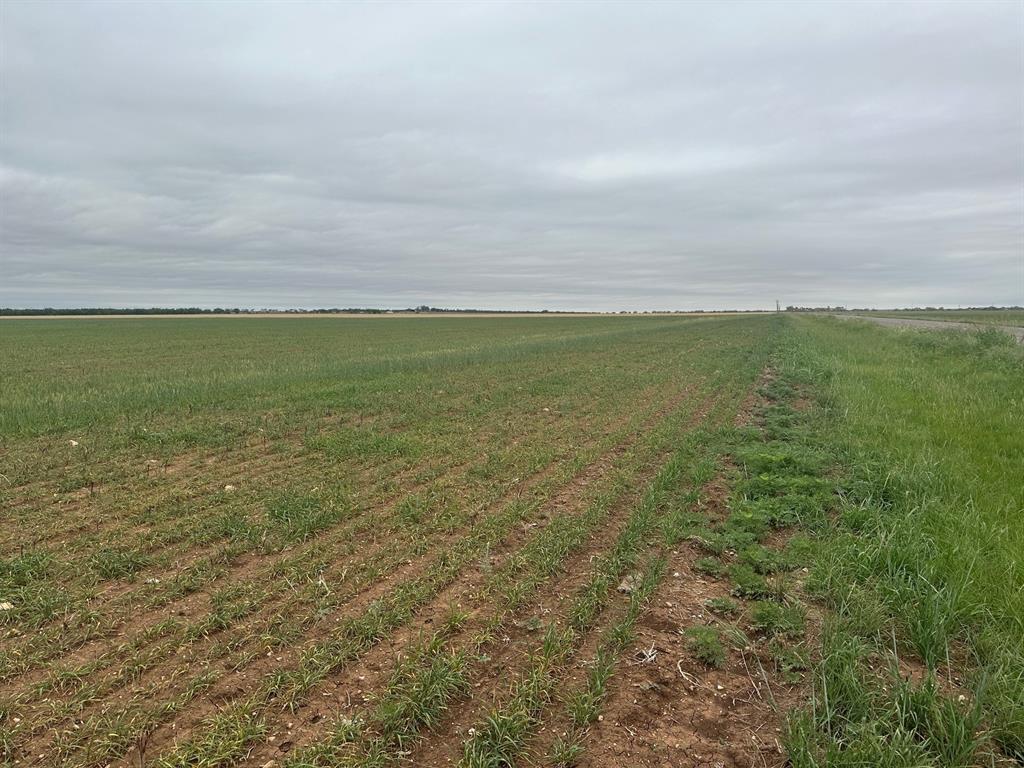1812 ( Tract 1 ) Merkel, TX 79536 - Photo 2 of 8