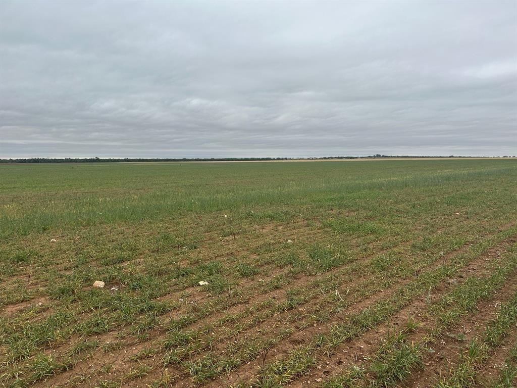 1812 ( Tract 1 ) Merkel, TX 79536 - Photo 4 of 8