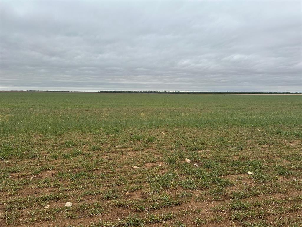1812 ( Tract 1 ) Merkel, TX 79536 - Photo 5 of 8