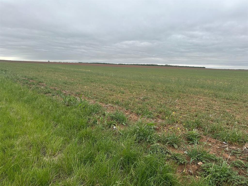 1812 ( Tract 1 ) Merkel, TX 79536 - Photo 8 of 8