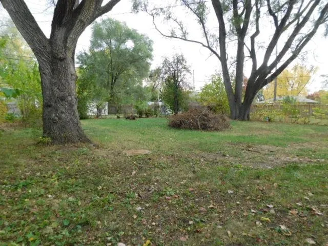 a view of a trees in a yard