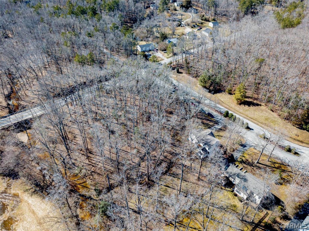 13036 West Patrick Henry Road Ashland, VA 23005 - Photo 3 of 10 Gallery Image 3