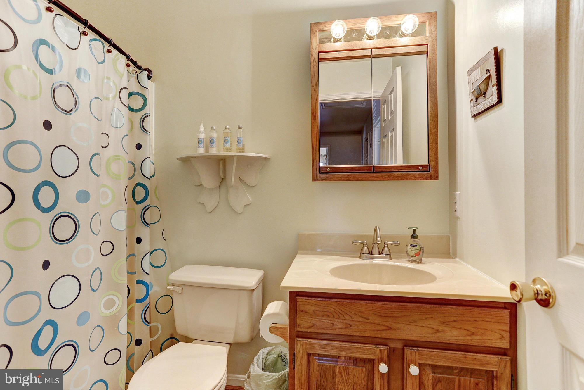 506 Ridge Road Finksburg, MD 21048 - Photo 18 of 30 a bathroom with a toilet a sink and a mirror