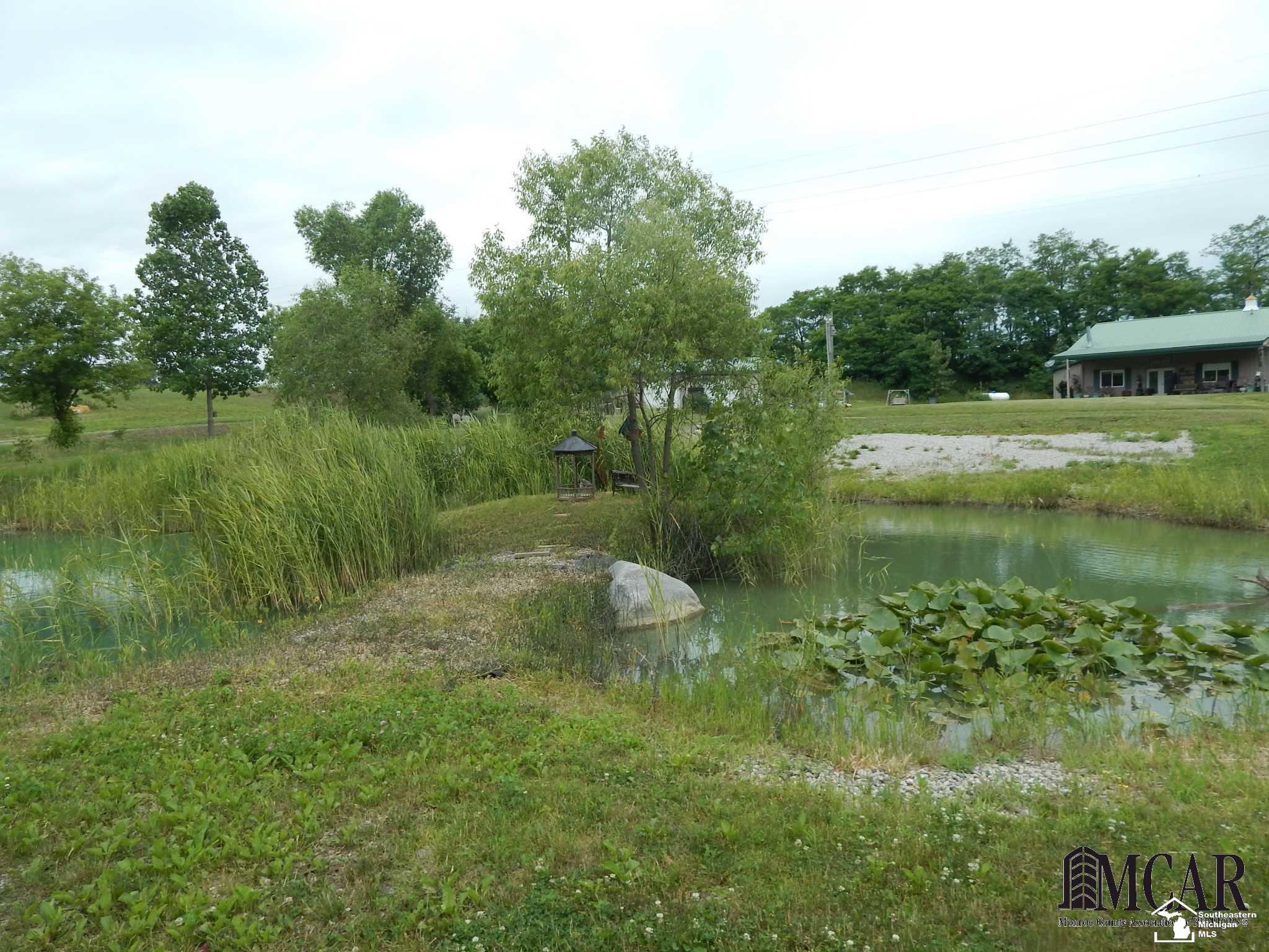 12695 West Carleton Road Clayton, MI 49235 - Photo 22 of 38 lots of ponds for wildlife